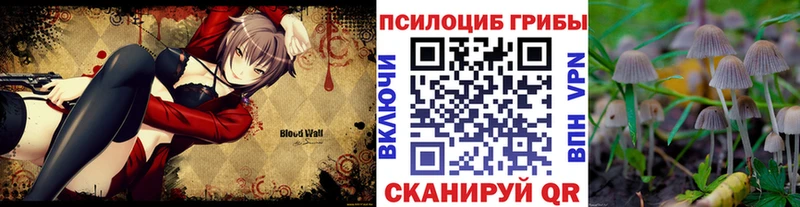 Галлюциногенные грибы мухоморы  где продают   Новоуральск 