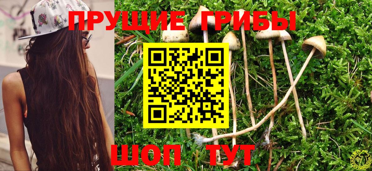 Галлюциногенные грибы Magic Shrooms  купить наркотики сайты  Новоуральск  Вход с VPN 